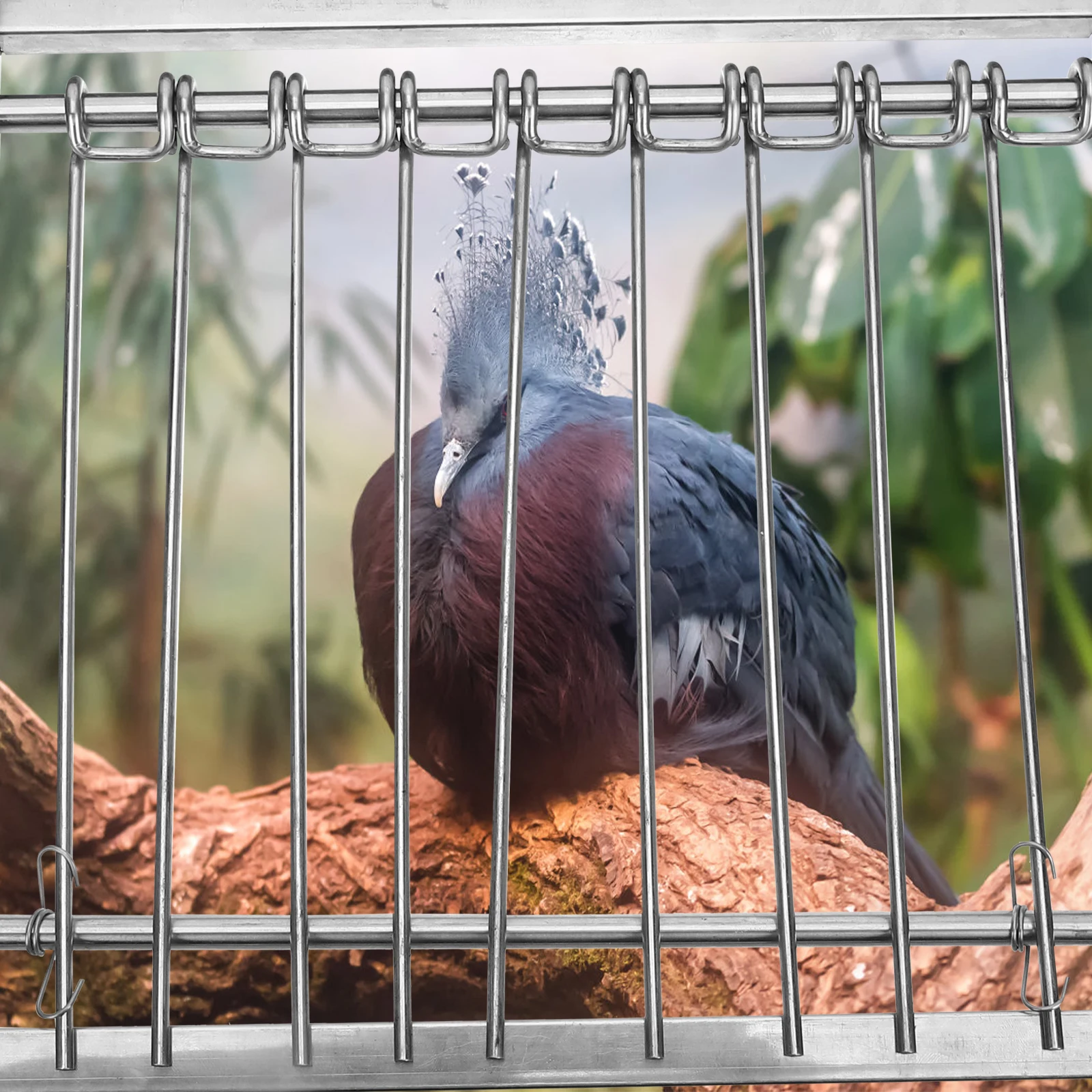 

Pigeon Cage Door Stainless Steel Durable Automatic Chicken Coop Bird Entrance Racing Pet Dovecote Loft Metal Hardware