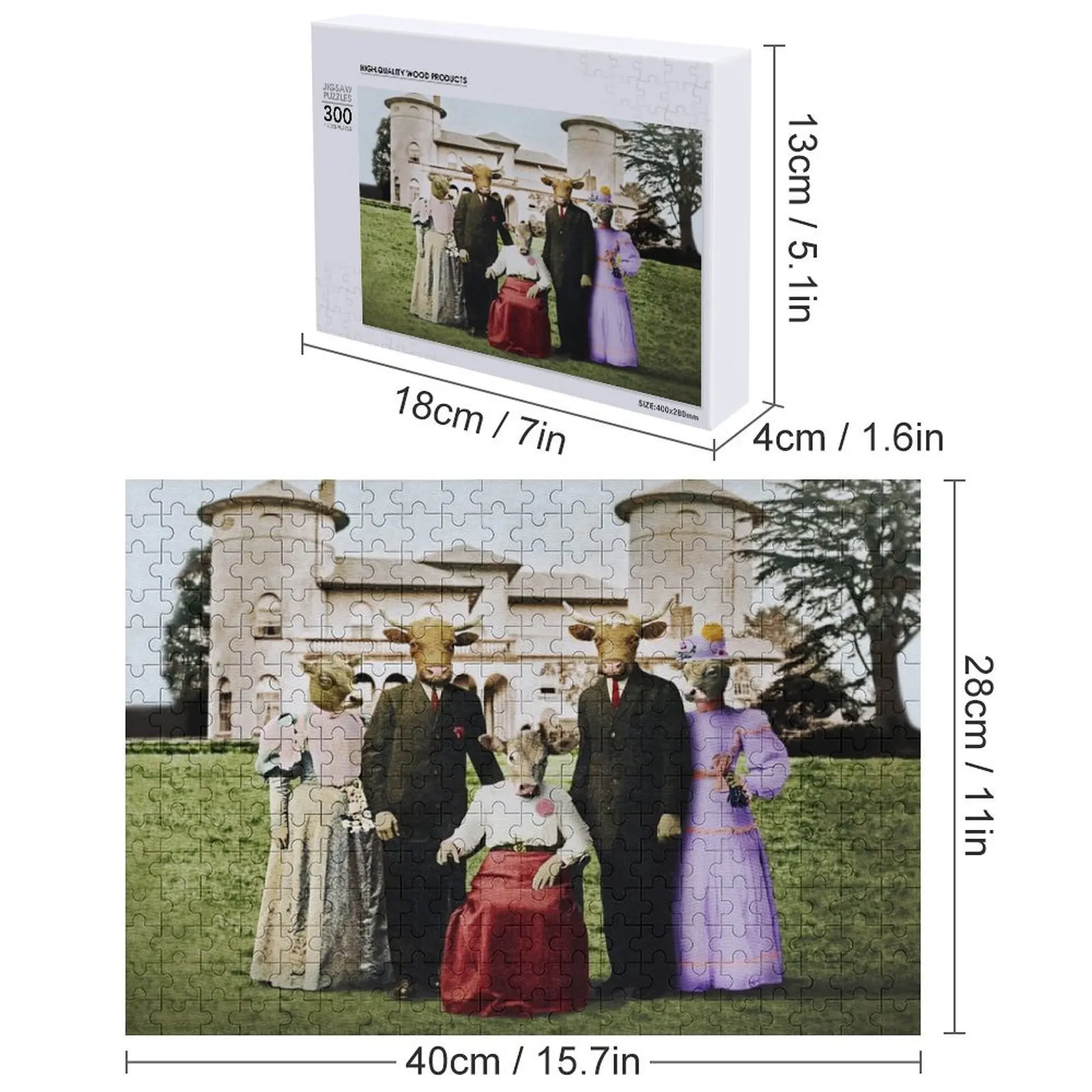 จิ๊กซอว์คาวทาวน์ แอบบีย์ ปรับแต่งชื่อได้ ของเล่นเด็ก จิ๊กซอว์สำหรับผู้ใหญ่