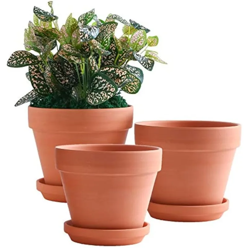 

8 Inch Clay Pot for Plant with Saucer - 3 Pack Large Terra Cotta Plant Pot with Drainage Hole, Clay Planters Pot, Terrac