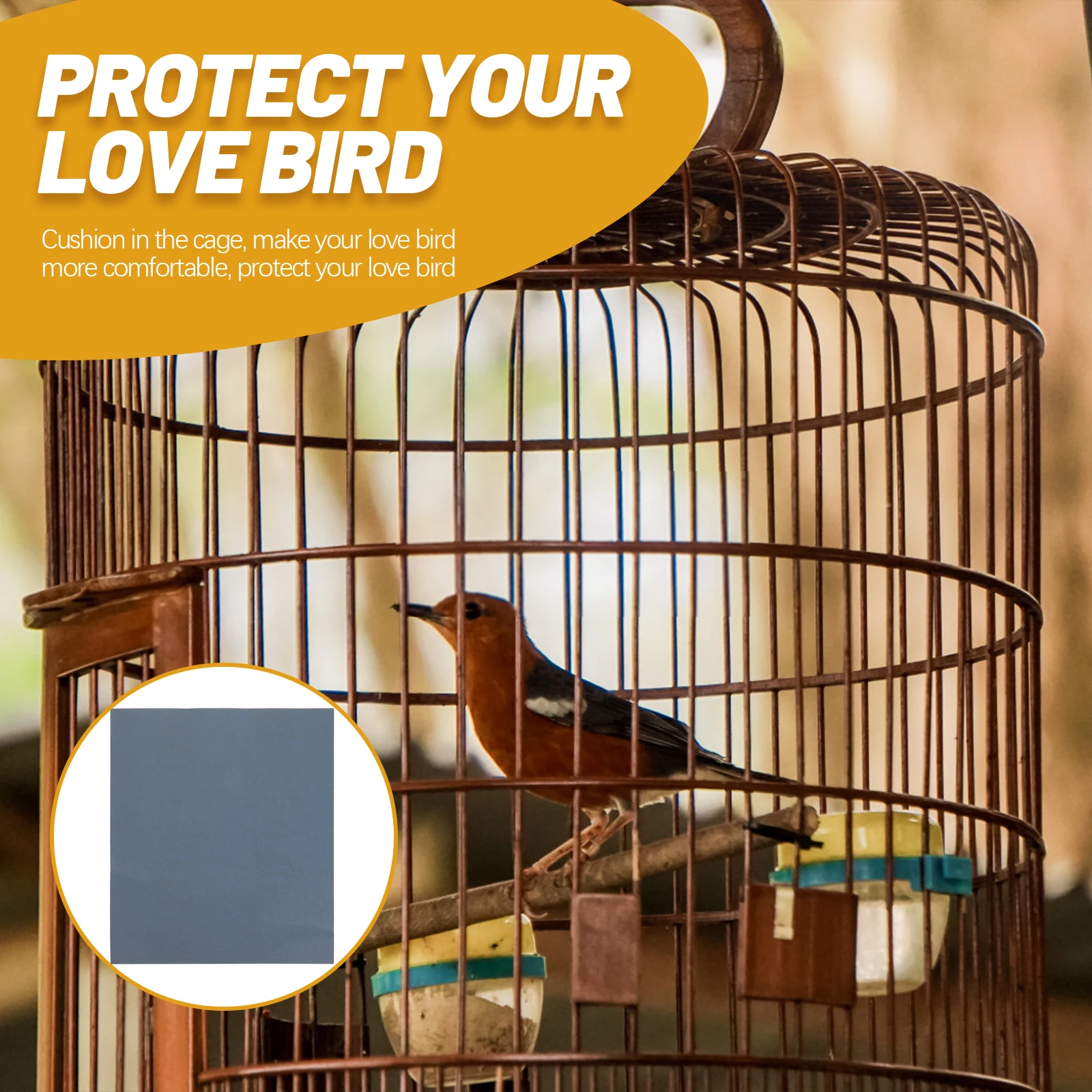 

10pcs Bird Cage Sandpaper Blue 800 Grit Pet Cage Liner Wear Resistant Parrot Mat Claw Trimming Beak Grinding Replaceable