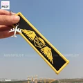 PILOT  kite