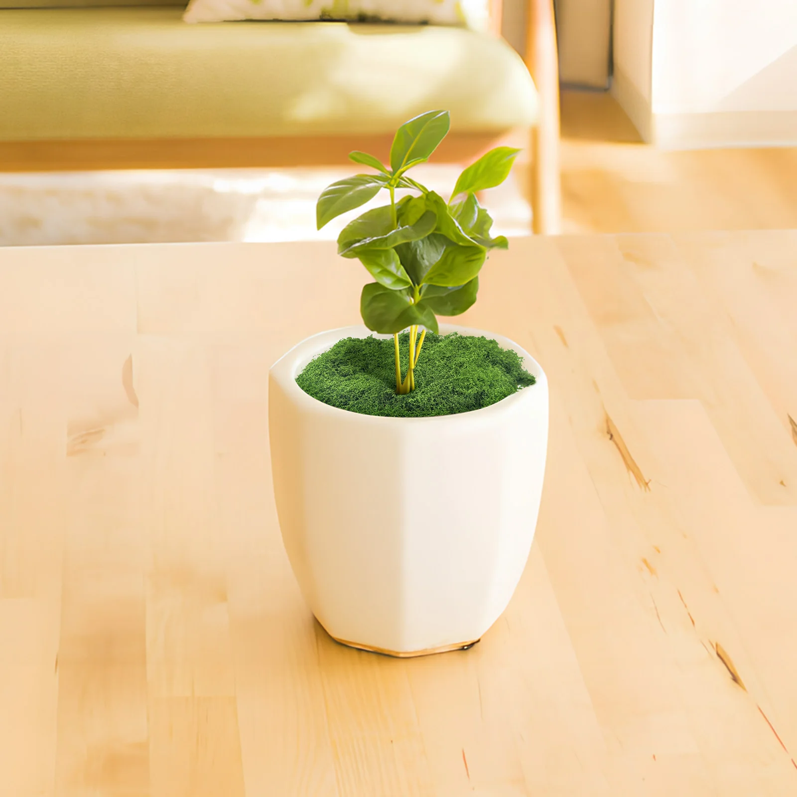 

Artificial Green Moss Faux Moss 300g Realistic for Potted Plants Table Centerpieces Indoor Decor Faux Plants for Indoors