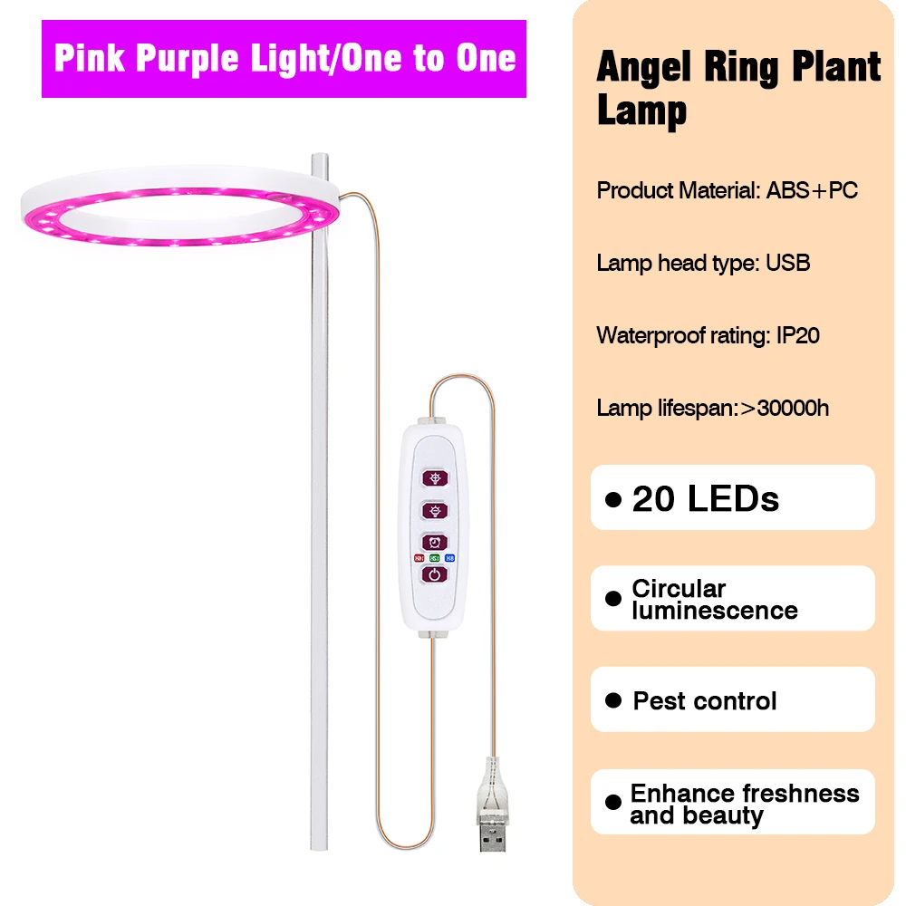 Pink Light 1 head