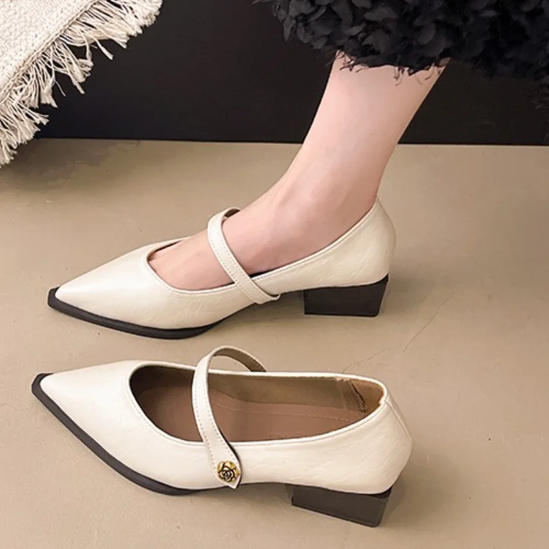 الرجعية وأشار أحذية نسائية واحدة 2025 تنوعا خط واحد حزام عادية كعب سميك الضحلة مشبك معدني كعب منخفض أحذية نسائية