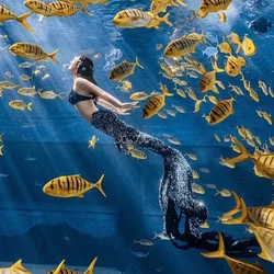 Big Mermaid Tail With Sparkle Shiny Sequins For Swimming Aquarium Show Cosplay Photo Shooting Beauty Women No Monofin