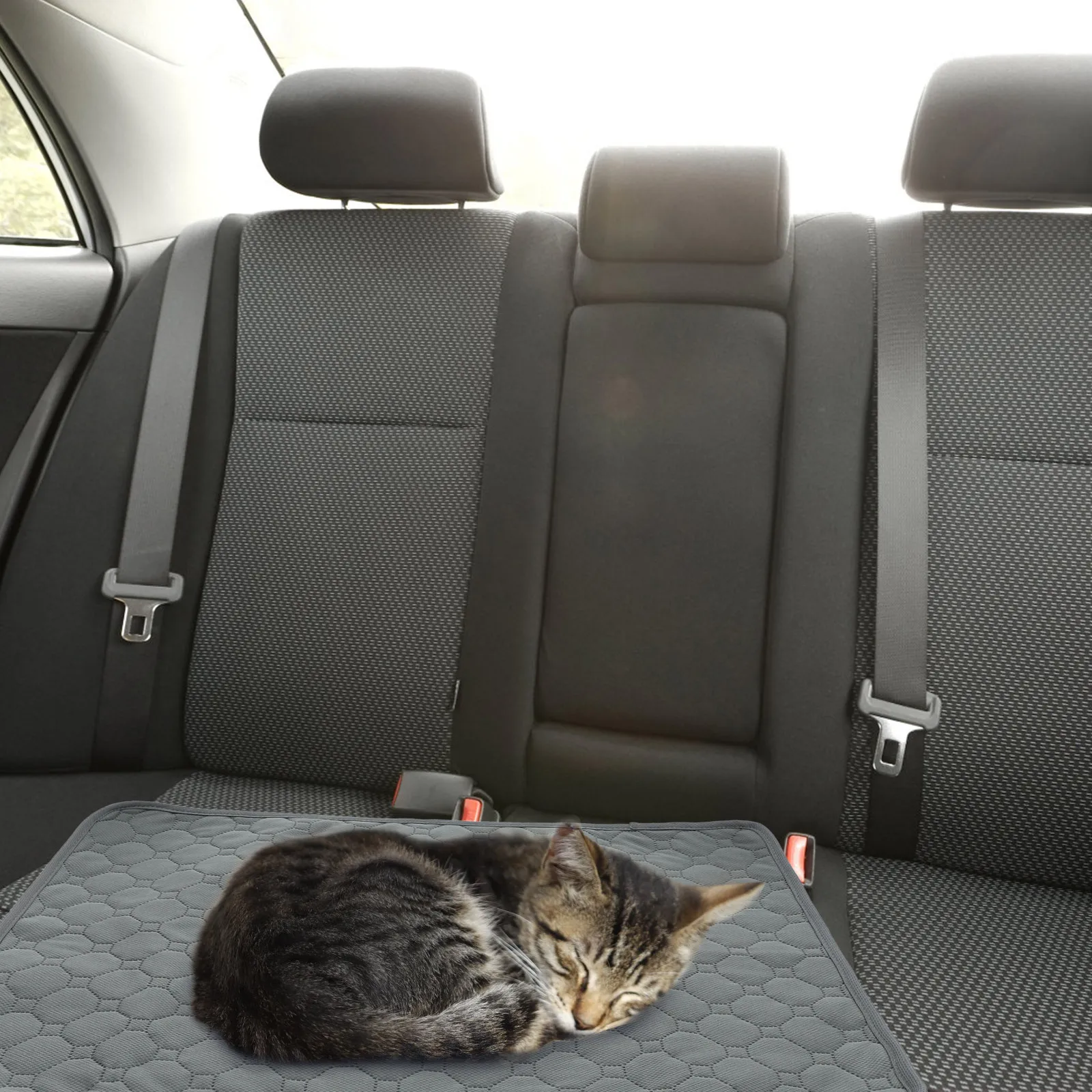 

2Pcs Pet Pee Pad Waterproof Reusable Dog Puppy Mat Indoor Absorbent Durable Soft Pee Pads for Cats Dogs Pets