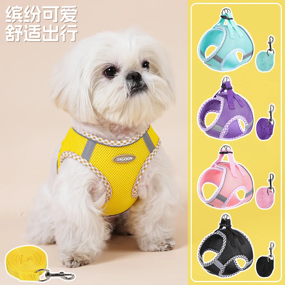 Arnés y correa para perro-gato - Accesorios de paseo diario práctico - imagen 4