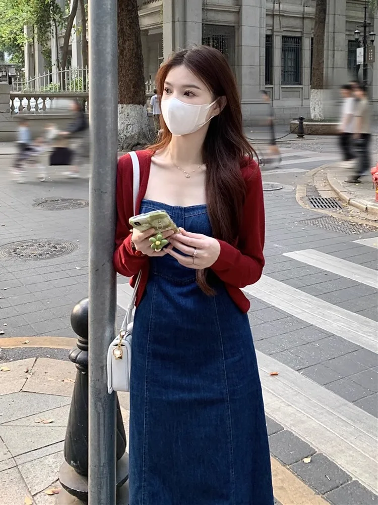 spring korean denim dress Spring Women Denim Dresses Korean Single Breasted Loose Casual Long Sleeve Autumn Dress Vintage Female buy the best products in the Ayzeze online store