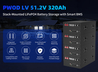 PWOD Lifpo4 Battery 48V 320AH 2A Active Balancing BMS New Lithium Iron Phosphate Batteri pack For Home Solar Inverter Off-Grid