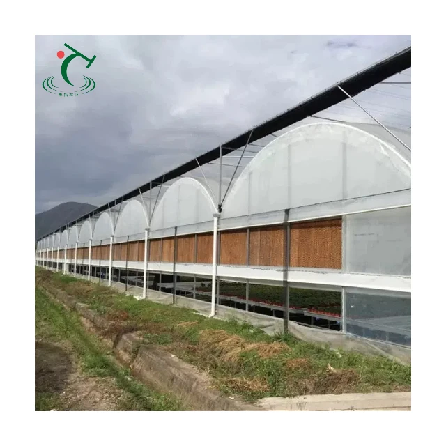 

Customized greenhouseAgricultural Multi-span Automated Film Smart Greenhouse for Tomato Seeding Commercial Greenhouse Kits Tunne