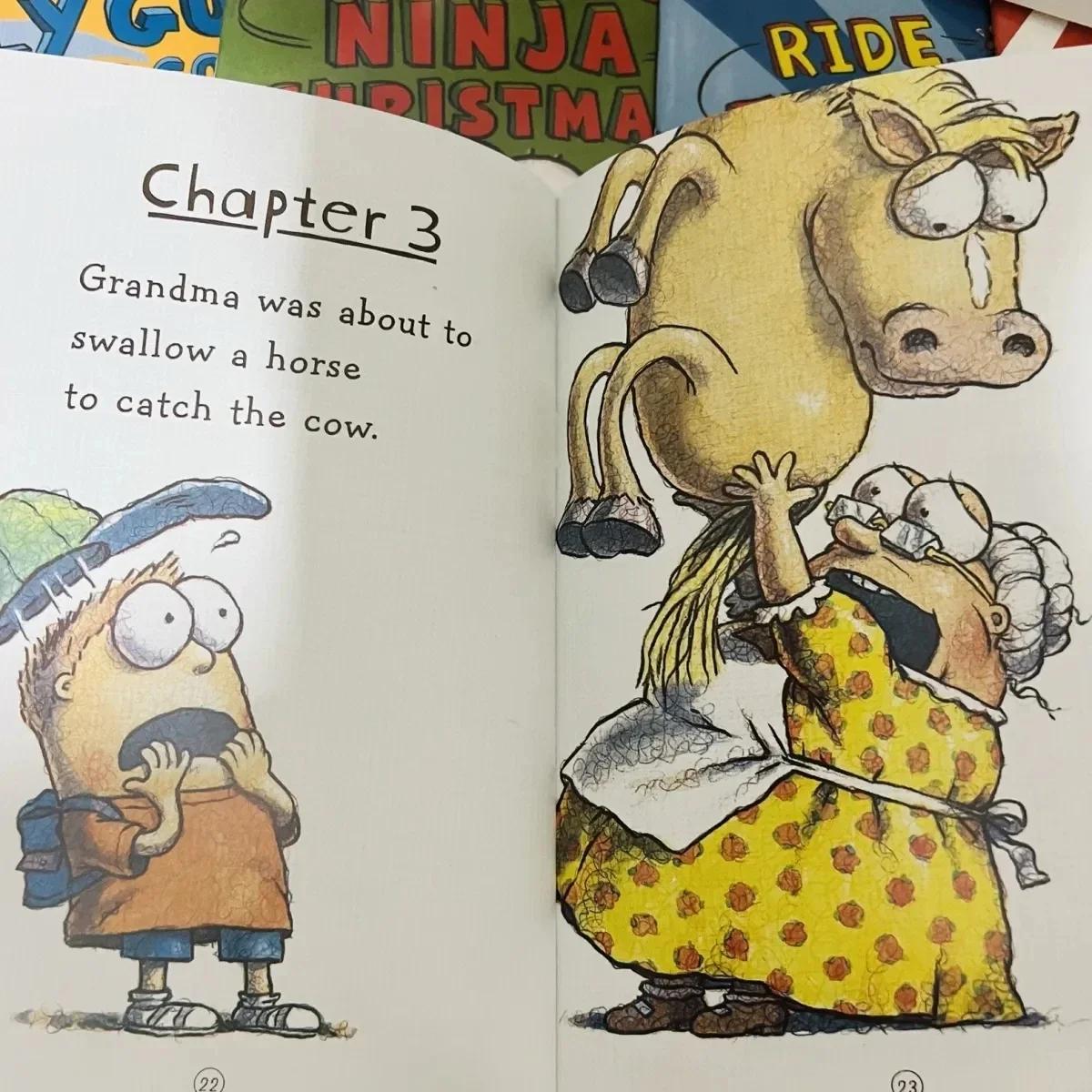 15 livres anglais Usborne livres pour enfants livres d'images bébé histoire célèbre la série Fly Guy livre d'histoire de lecture amusant