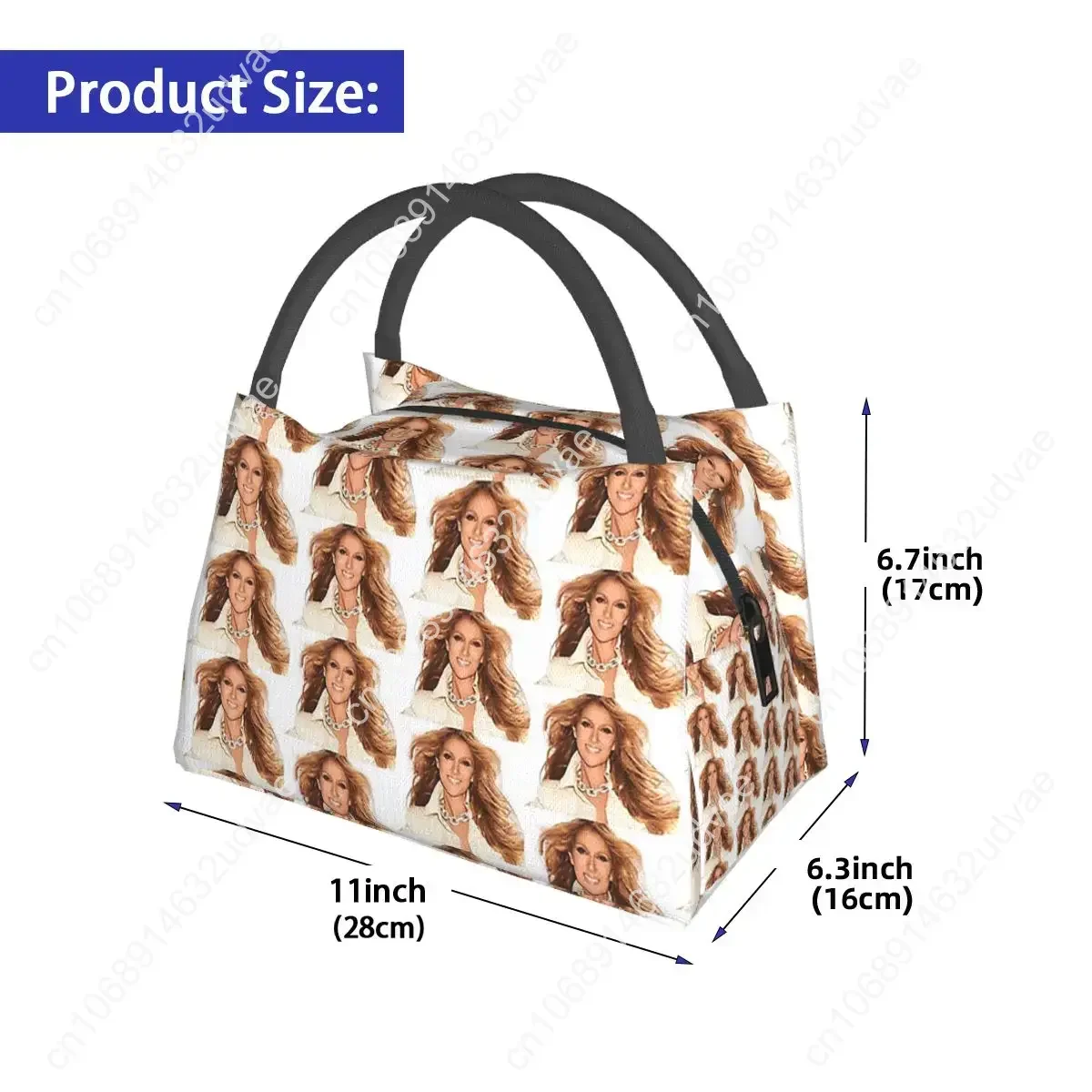 Rambutterurai Celine Dion Tour Dates และ C ถุงอาหารกลางวันฉนวนกล่อง Bento อาหารกลางวัน Tote กระเป๋าปิคนิคสําหรับผู้หญิงเด็กโรงเรียน