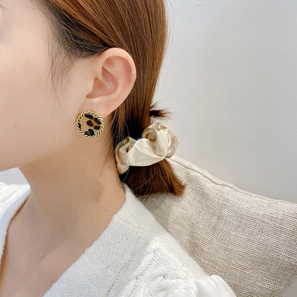 Korean Style Autumn and Winter Leopard Simple Pattern Plush Earrings Feminine Fashion Cold Style Retro Earrings Jewelry