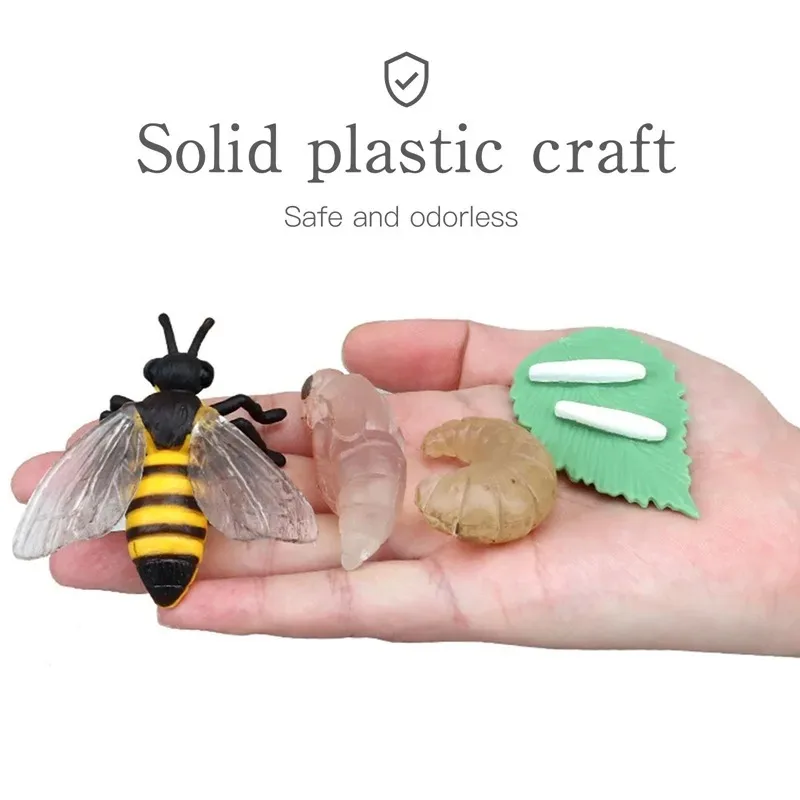 ของเล่นเด็กแบบจำลองทางชีววิทยาของเล่นรูปสัตว์พืชวงจรการเจริญเติบโตของมอนเตสซอรี่ชุดของเล่นเด็กสำหรับการสอนของเล่นเพื่อการศึกษา