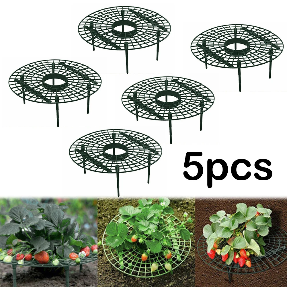Strawberry Supports with 4 Sturdy Legs Vegetable Growing Rack Keep Berries Clean Fruit Support for Protecting Strawberries