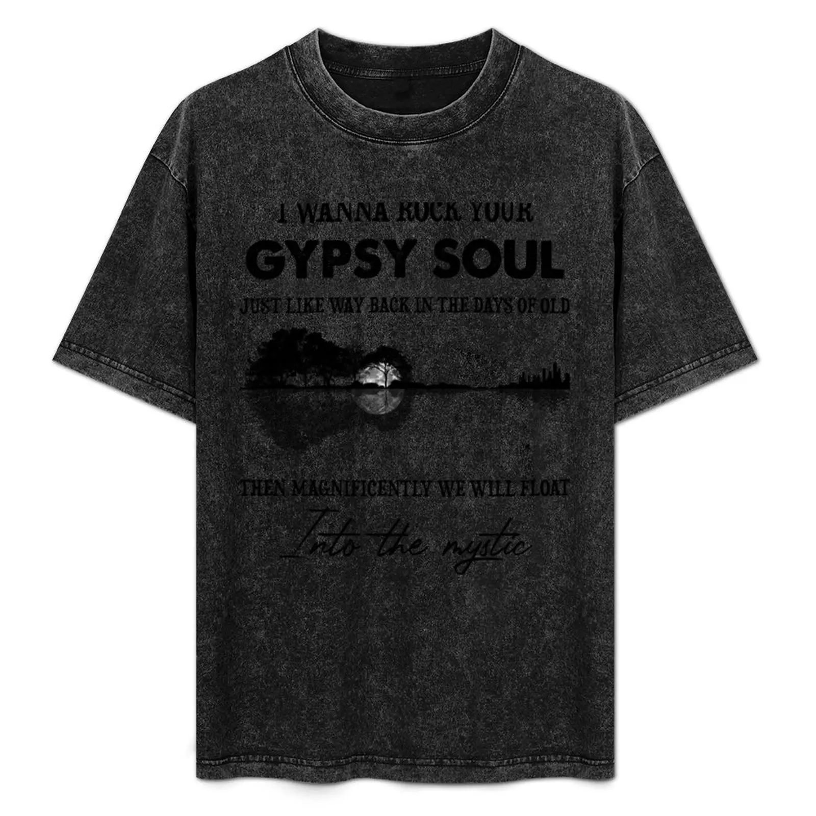 

I Wanna Rock Your Gypsy Soul T-Shirt funny meme t-shirts summer tops big and tall t shirts for men