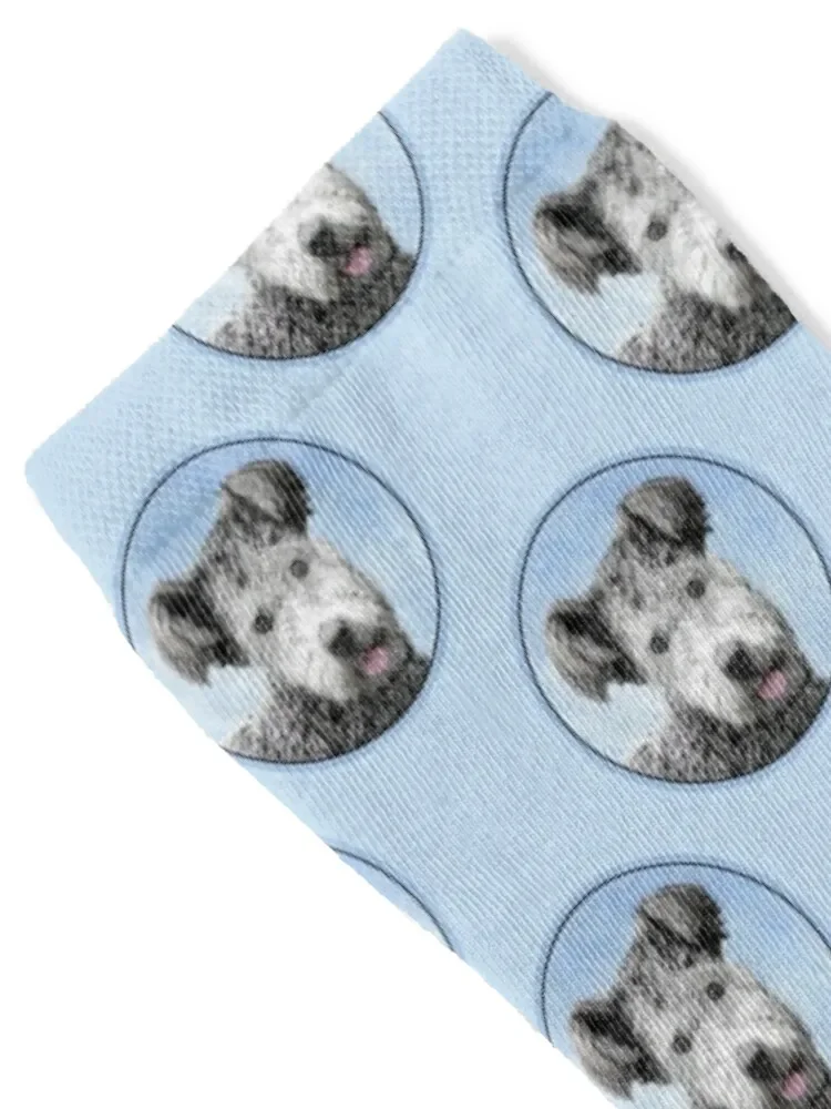 Pumi Painting - Cute Original Dog Art Socks cotton man Man Socks Women's