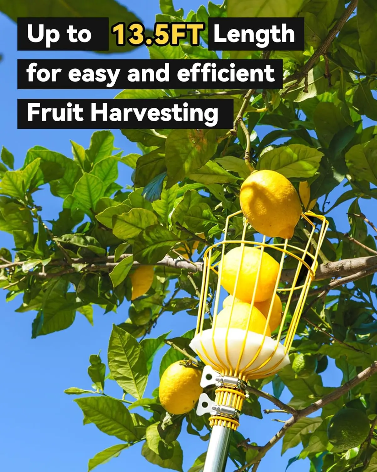 13.5FT Fruit Picker, Picker Tool with Adjustable Pole and Basket, Long Reach Mango Grabber Tool, Tree Fruit Catcher for Pi