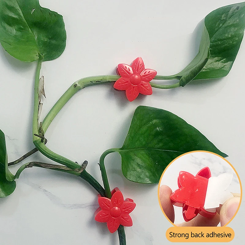 10 pezzi a forma di fiore pianta rampicante parete Clip appiccicose Rattan vite fissatore gancio autoadesivo Clip di rilegatura da giardino invisibile