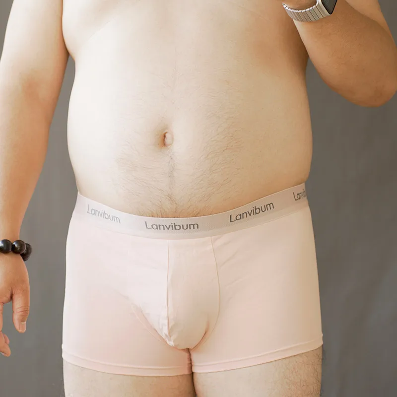 Men\'s breathable U-Bulge briefs sexy lingerie Chubby large sizeshorts Underwear See-through Fashion new Underpants