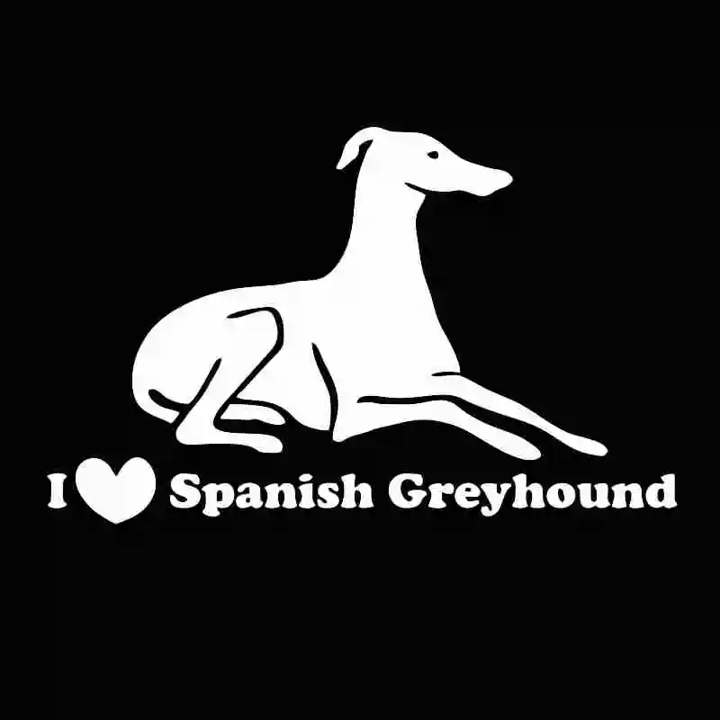 Creativity I Lover Spanish Greyhound Funny Car Sticker Vinyl Decal ,for All Kinds of Cars Auto Car Stickers Styling,22*13.8cm