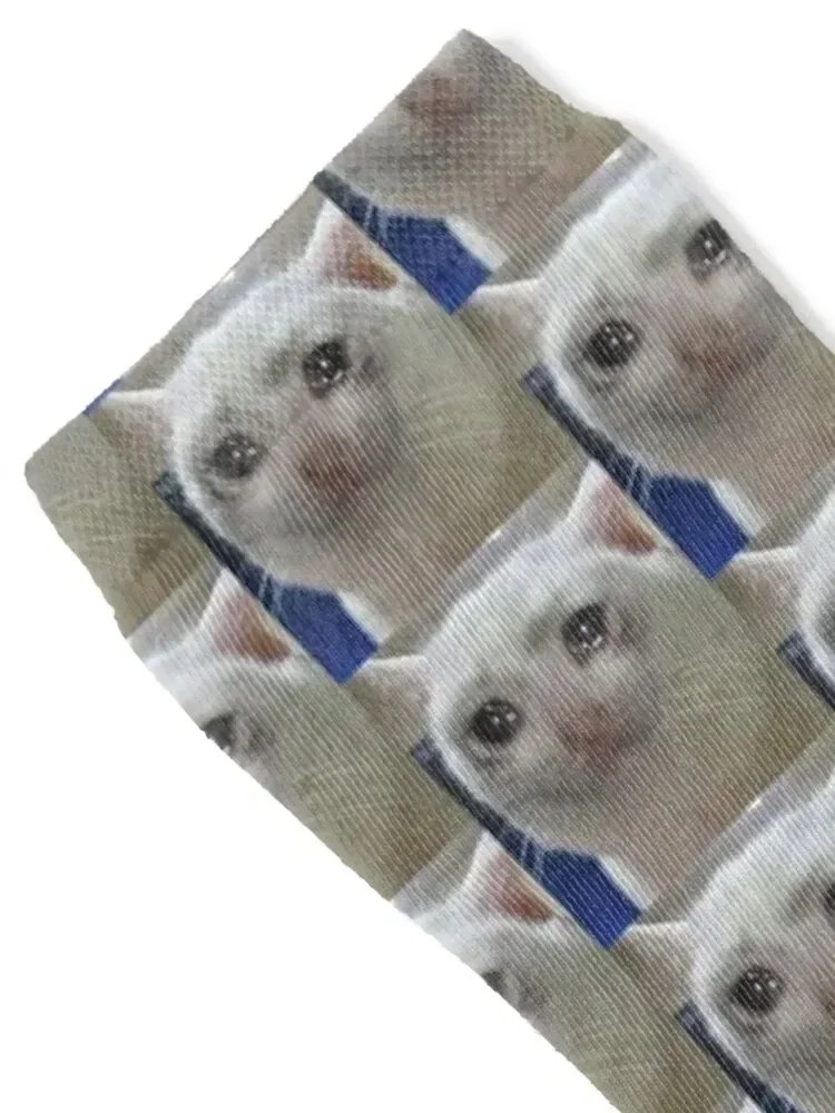 Crying cat meme Socks cotton cartoon Stockings man designer Socks Men's Women's