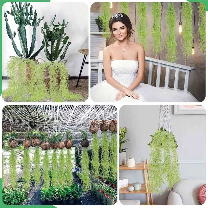 HOT-Swamp Faux Moss 12 Pcs 33