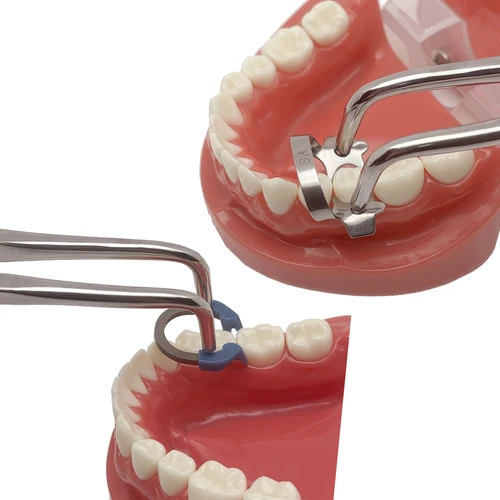 Imagen 2 del producto Pinzas de abrazadera de dique de goma de acero inoxidable Dental, alicates de separación para abrazaderas de matriz, uso restaurador endodóntico