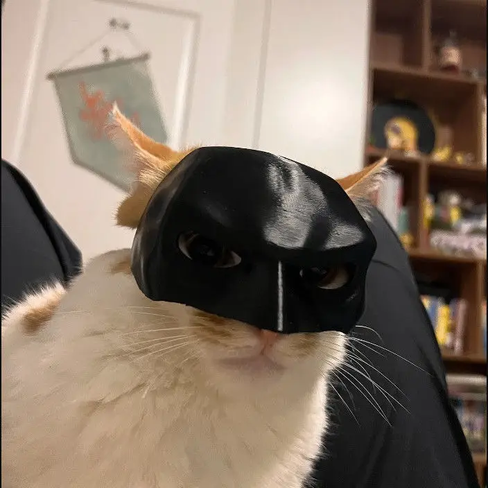 Suprimentos para festa de cachorro de estimação, chapéu decorativo, chapéu engraçado, fantasia fofa para gatos e cães, adereços fotográficos, acessório fofo e peculiar