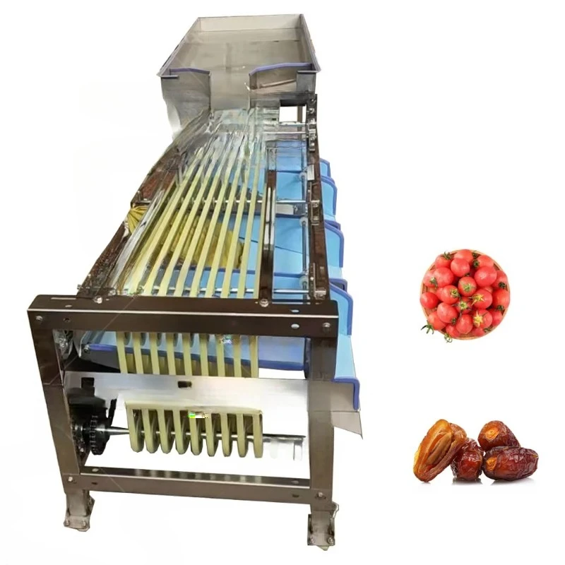Customized Cheap Price Pathway Type Fruit Size Sorting Machine With Motor for Date Olive Professional Sorter Grader