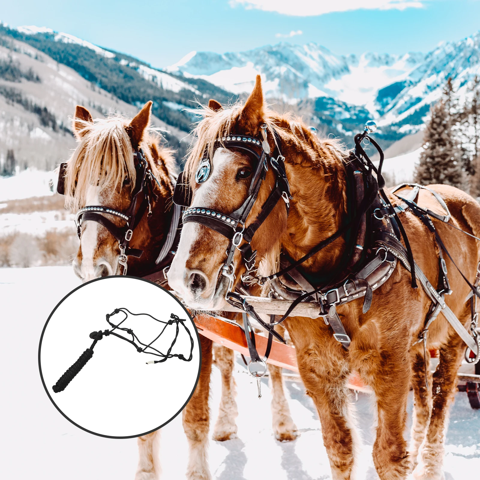 Холтер для лошади, портативная тесьма, износостойкий узел, жесткая ткань, тренировочный бретелька, аксессуар для лошади, нагрудный воротник в стиле вестерн