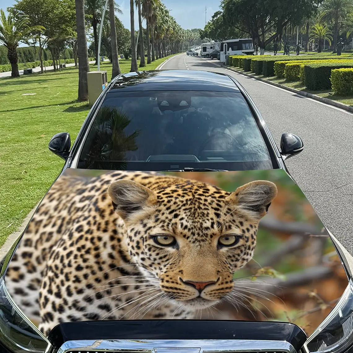 Natural Habitat Leopard Car Hood Sticker,Waterproof Self-Adhesive Vinyl Graphics Decals,Decorative Auto Accessories Stickers