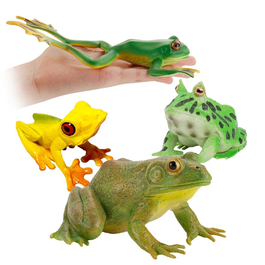 Realistic Wild Amphibian Action Figures Treefrog Bullfrog Toadfrog Plastic Frog Model Toy Cognitive Ornament Toys Gift For Kids