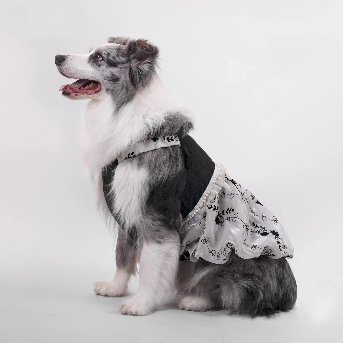 Dog Clothes Spring and Summer Thin Black and White Color Matching Elegant Sweet Princess Dress Medium and Large Dog