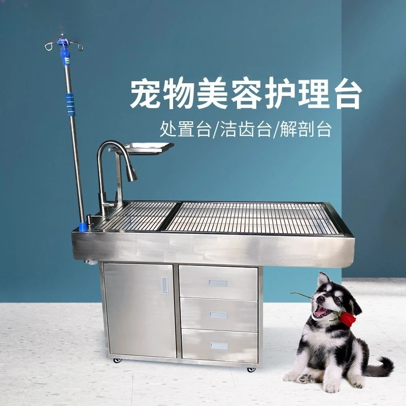 Animal disposal table Dog teeth cleaning Stainless steel dissection Cat cleaning Beauty table Pet table