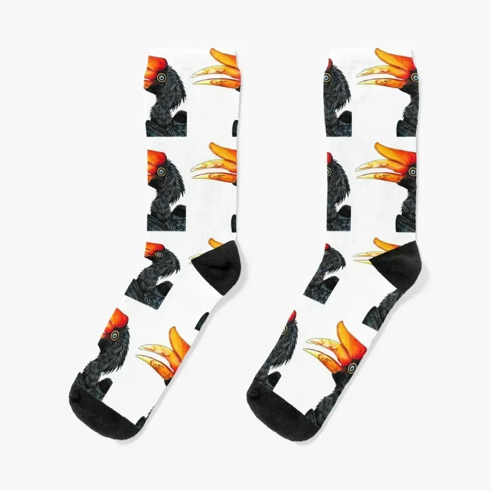 

Rhinoceros hornbill bird - ink and watercolour Socks anti-slip Non-slip Children's compression Designer Man Socks Women's