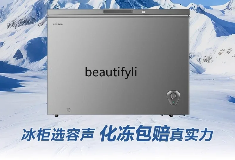 A61 Low Frost Large Capacity Freezer Household Commercial Refrigeration Freezer Conversion Freezer