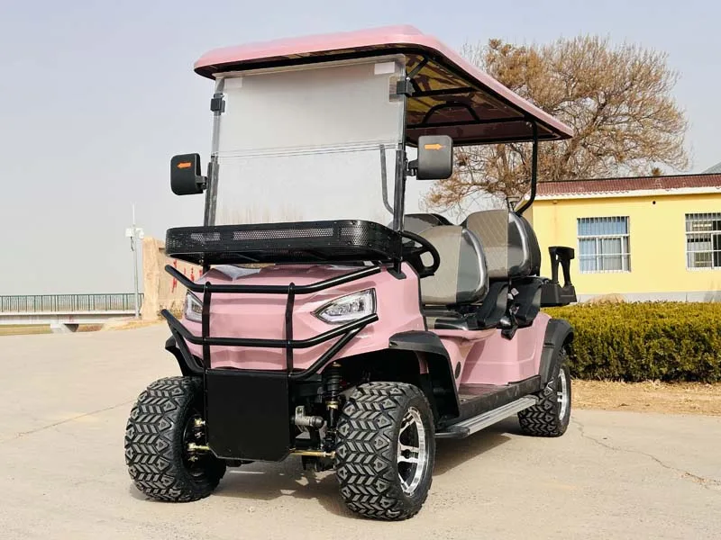مصنع توريد 72 فولت 2 4 6 8 الركاب عالية السرعة مخصصة عربة جولف كهربائية للبيع #2