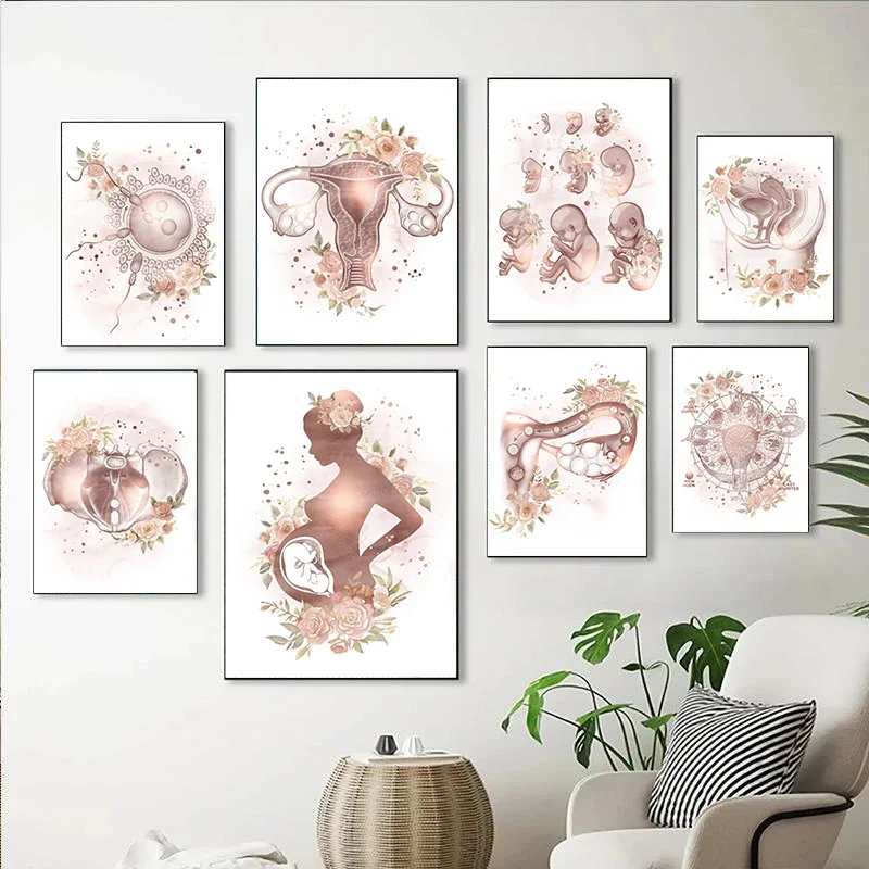2026 Femaless Anatomy Fertility Pregnancy Posters Prints Canvas Painting Wall Art Picture Gynecology Obstetrics Dec Mural Gift