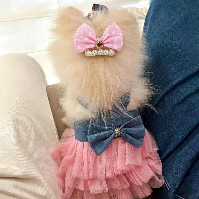 Vestido tutú verano para perra – Ropa princesita