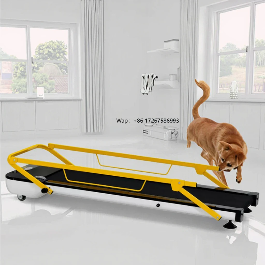 Electric Dog Treadmill Home Use Pet Training Supplies Equipment for Dog Training