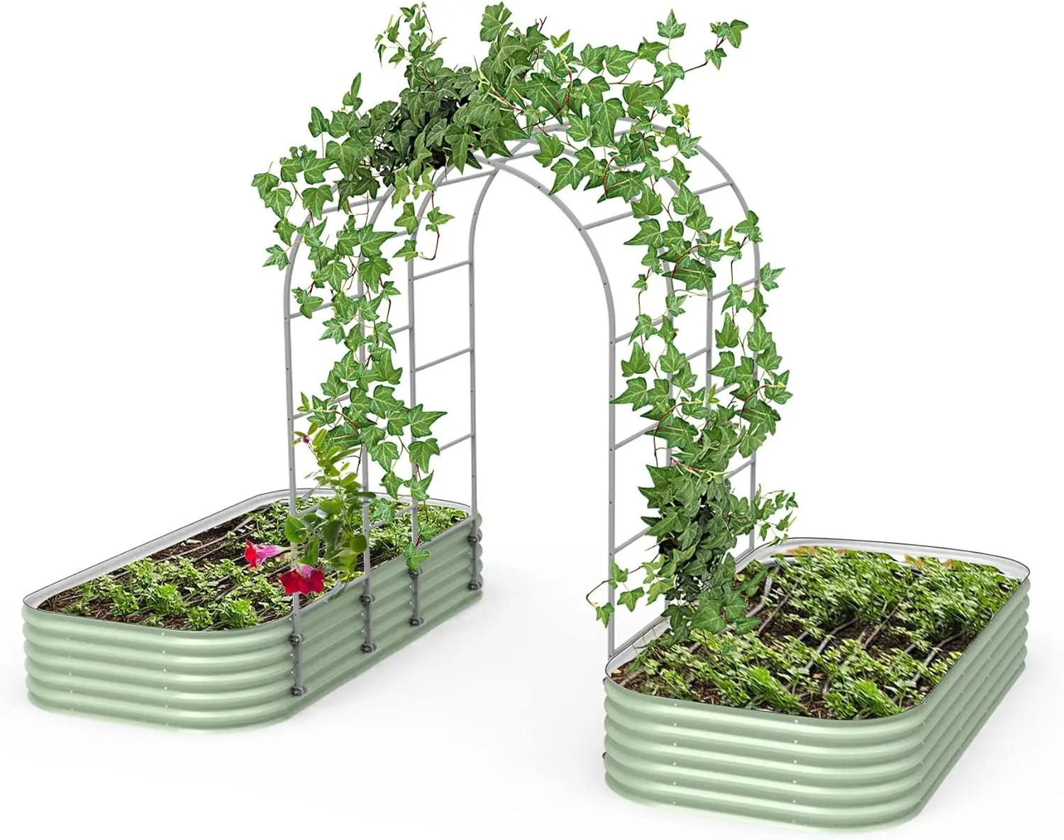 

Modular Arched Trellis System Triple Section 5.5' Long Trellis for 4.0' x 8.0' (10 in 1) Garden Bed
