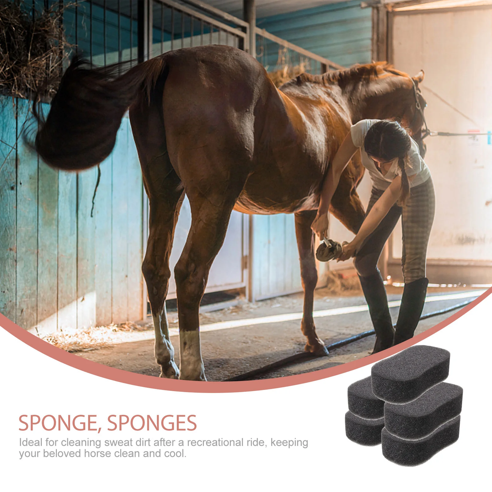 5 Pcs Grooming Sponges Soft Cleaning Tools for Bath Body Large Sponges for Cleaning Horse Brush Horse Care Products