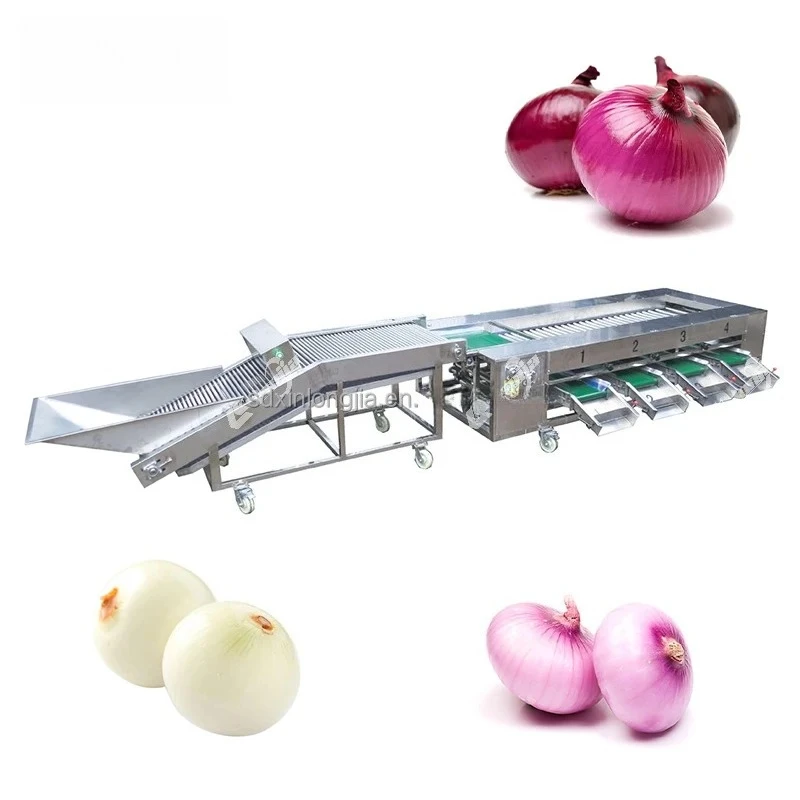 Commercial Rotary Date Palm Tomato Cherry Orange Onion Vegetable Fruits Sorting Grading Machine Lemon Size Sorter Grader Machine