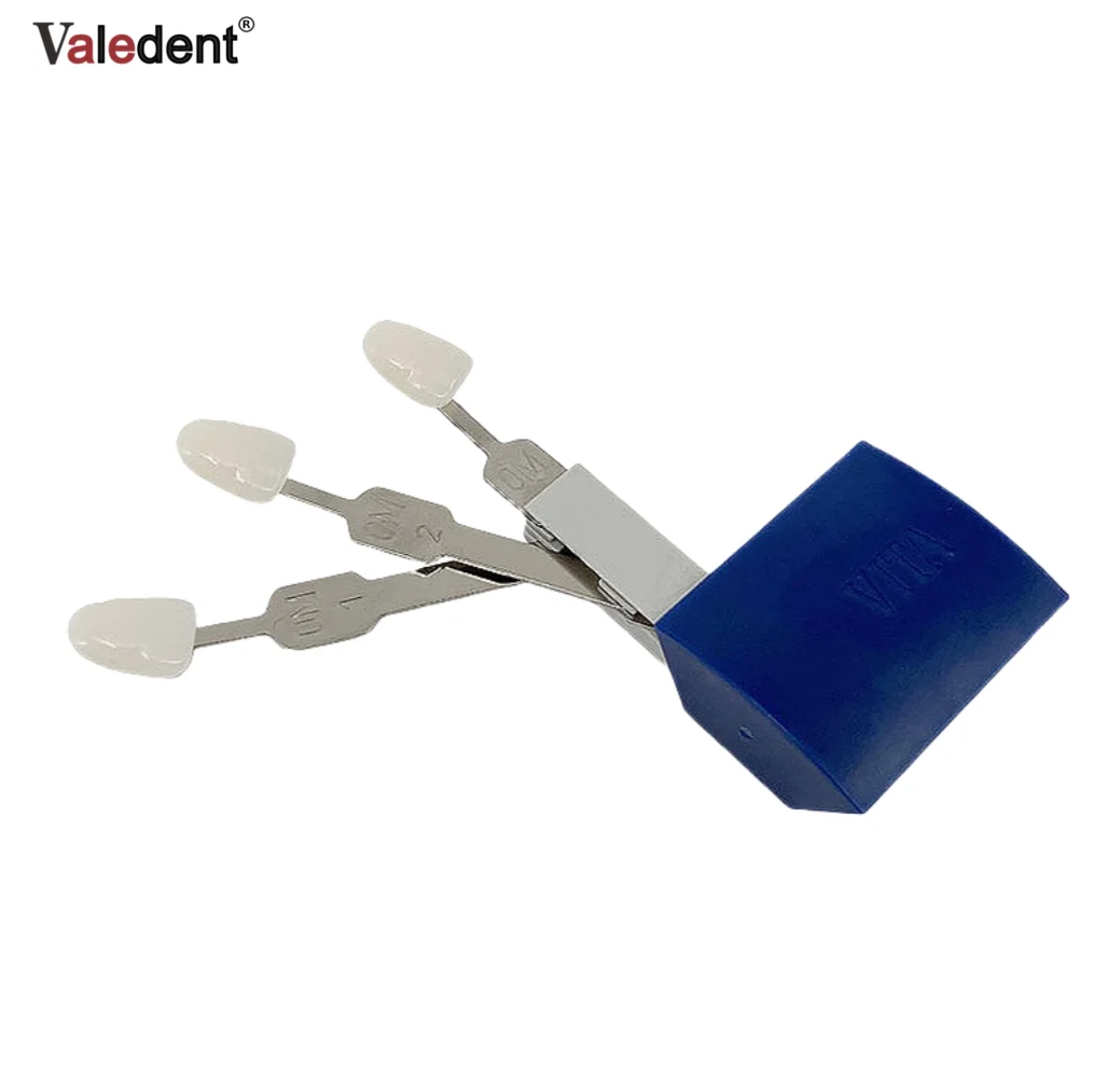 دليل تظليل الأسنان للأسنان A-D مادة البورسلين مخطط الألوان تبييض الأسنان مقارنة مادة البورسلين