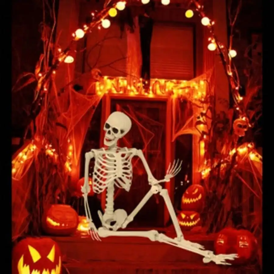 5-Foot Flexible Life-Sized Adult Skeleton Made of Plastic, Featuring Movable Joints and Decorative Sign Plaque—Perfect for Hallo
