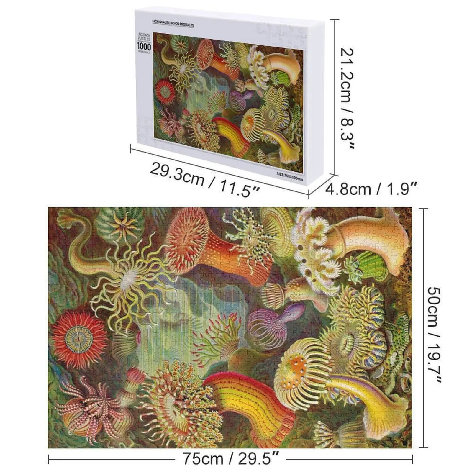 Anêmona do mar - Ernst Haeckel Quebra-cabeça de madeira para adultos Iq Crianças Quebra-cabeça de animais de madeira