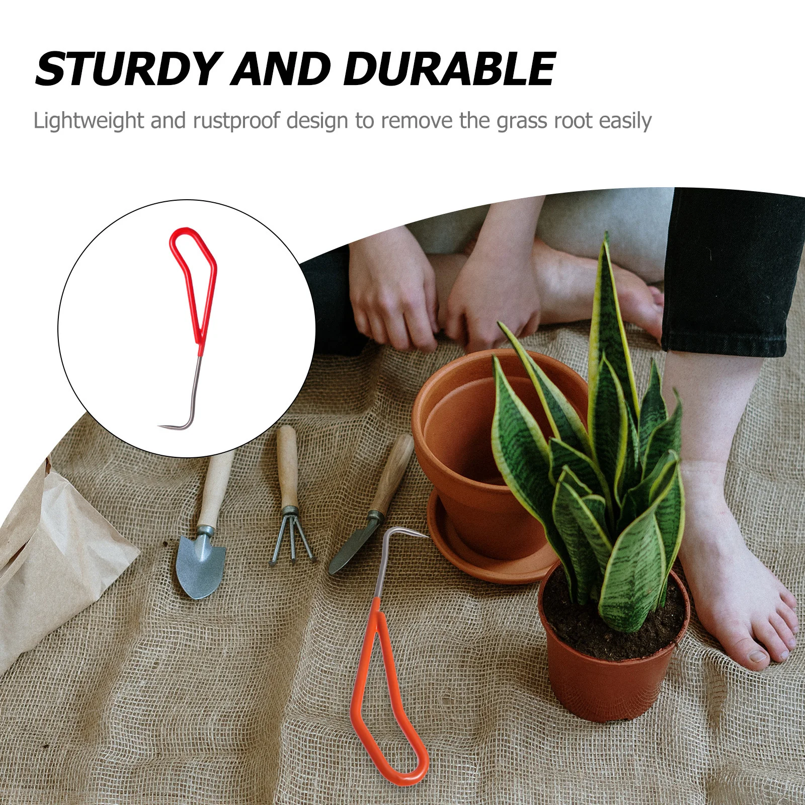 Désherbeur manuel en acier inoxydable avec poignée ergonomique pour un désherbage sans effort et une traction des racines, outil de désherbage de jardin léger