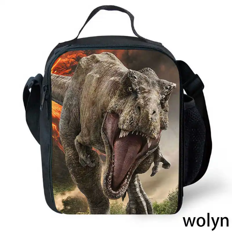 

Dinosaur Printed Lunch Bag for Child Custom Large Capacity Kids Picnic Bags,Insulated Meal Bag for Pupil Students