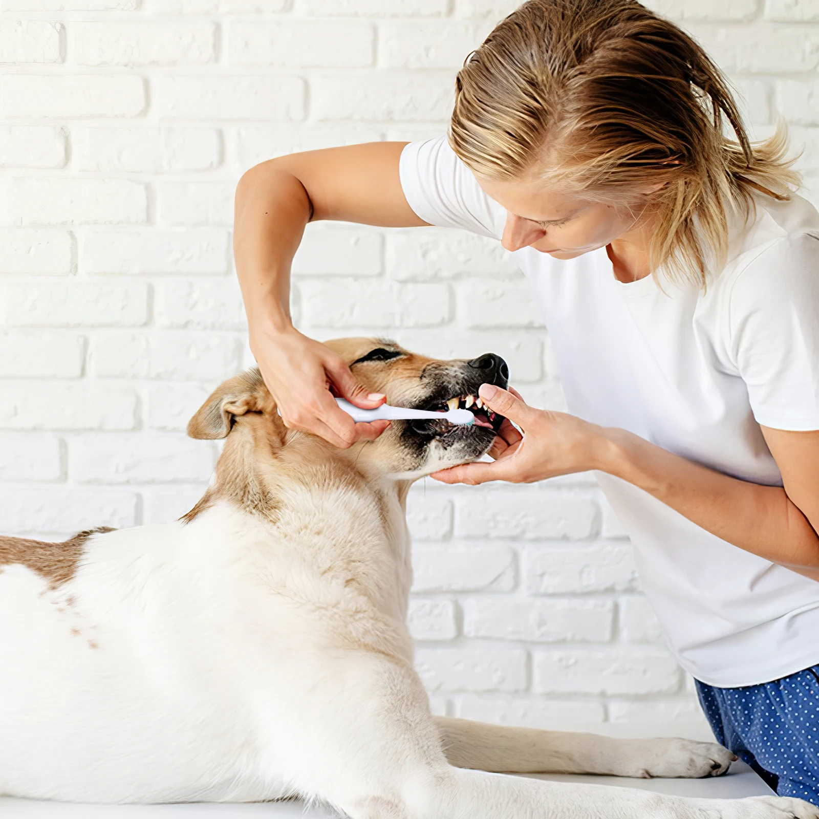 

1pc Pet Electric Toothbrush For Dogs, Ultrasonic Teeth Cleaner, Waterproof Portable Brush, Safe Gum Care, Travel Dog